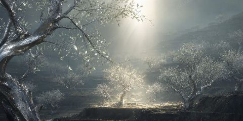 Silver Orchard — printable digital art preview